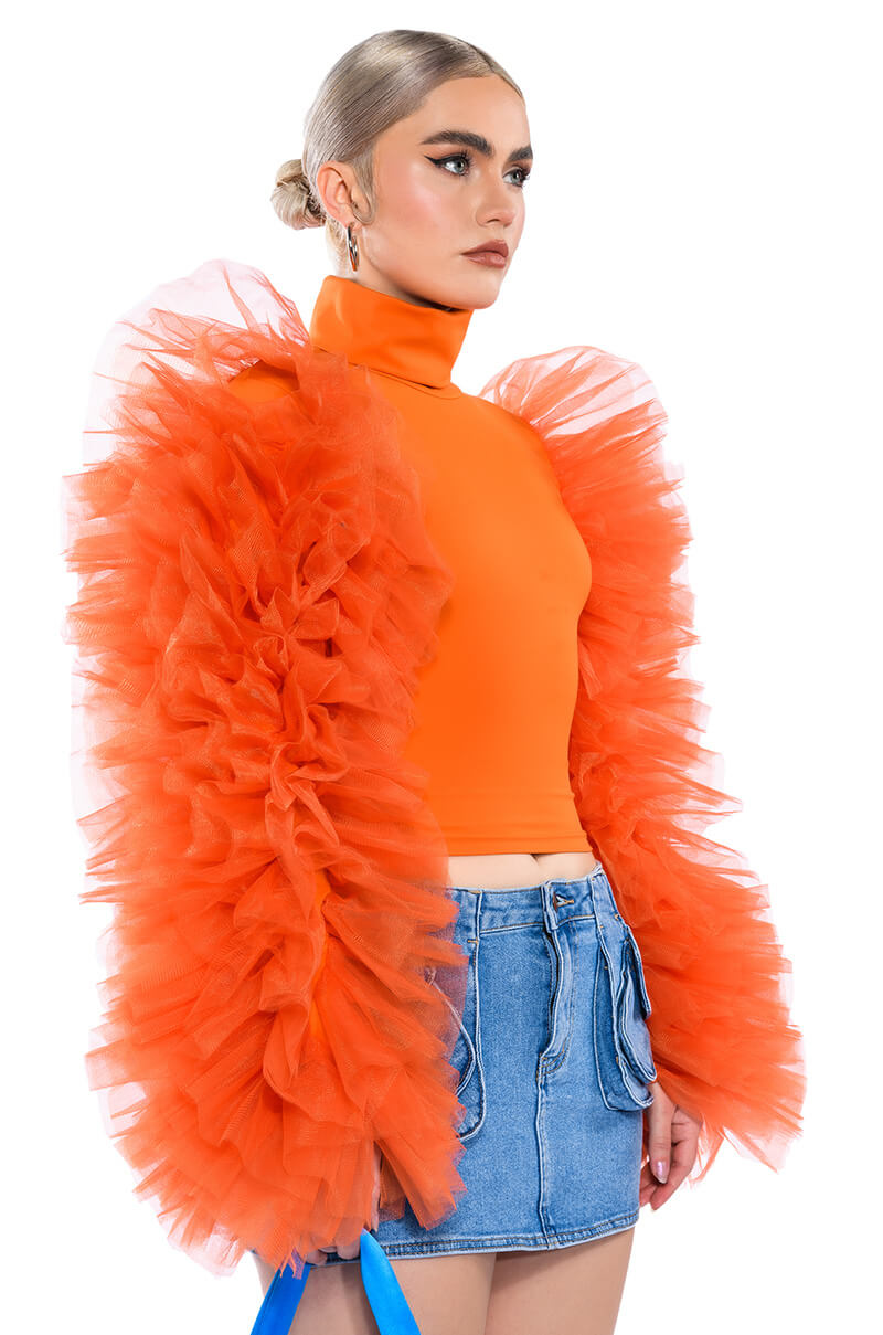 Side View Daring Tulle Ruffle Long Sleeve Top