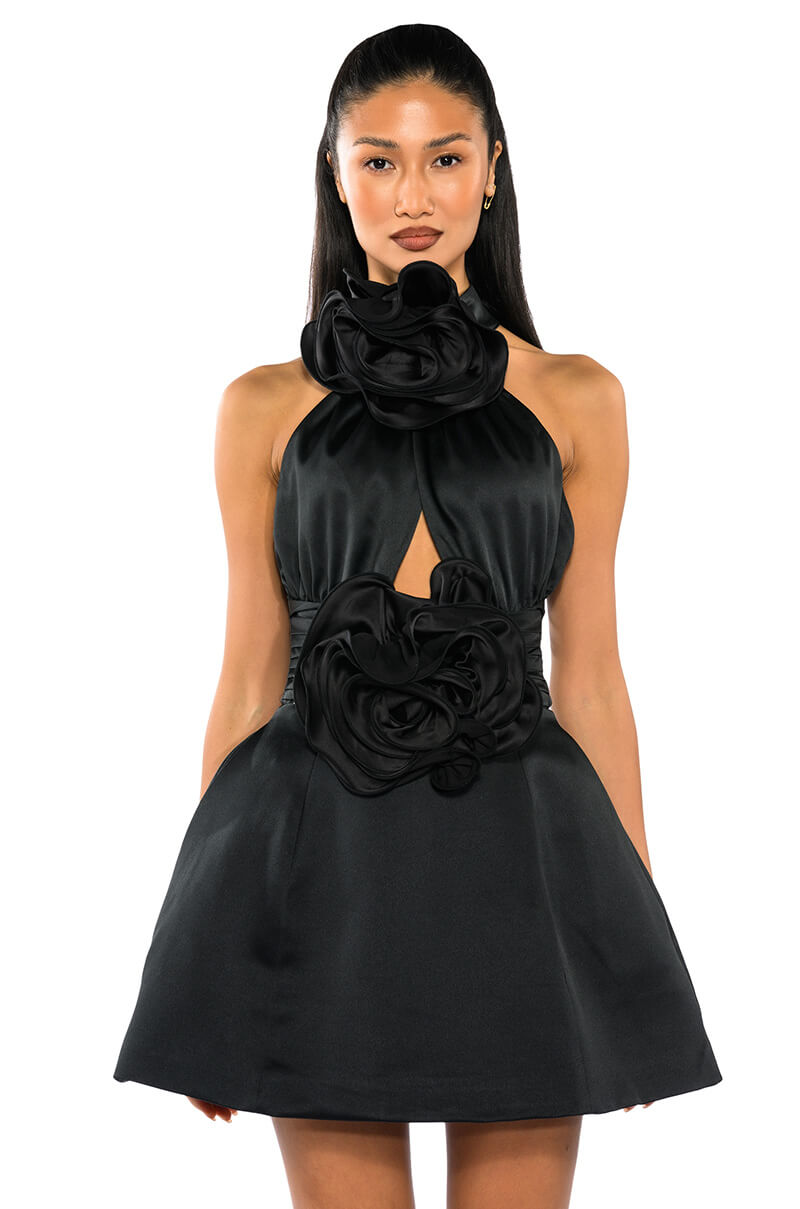 NOT YOUR BABE FLOWER DETAIL FIT AND FLARE MINI DRESS AKIRA NOT YOUR BABE FLOWER DETAIL FIT AND FLARE MINI DRESS AKIRA