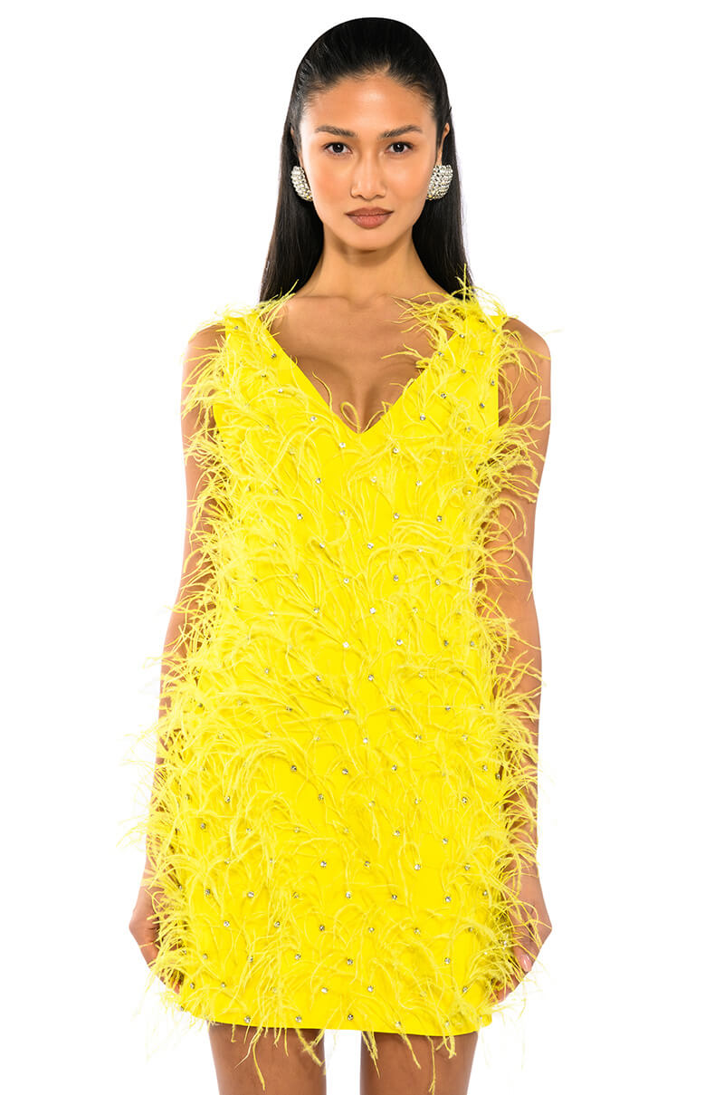 RENDEZVOUS SLEEVELESS FEATHER MINI DRESS AKIRA RENDEZVOUS SLEEVELESS FEATHER MINI DRESS AKIRA