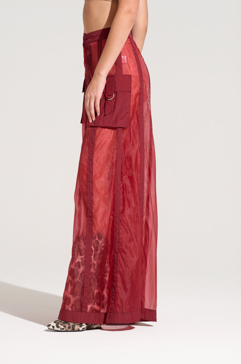 A person stands against a plain background, wearing the CELINE WIDE LEG TROUSER, which features sheer red fabric and large cargo-style pockets on the side. The trousers showcase vertical paneling with a faint leopard print pattern near the hem. They are also wearing leopard-print shoes.