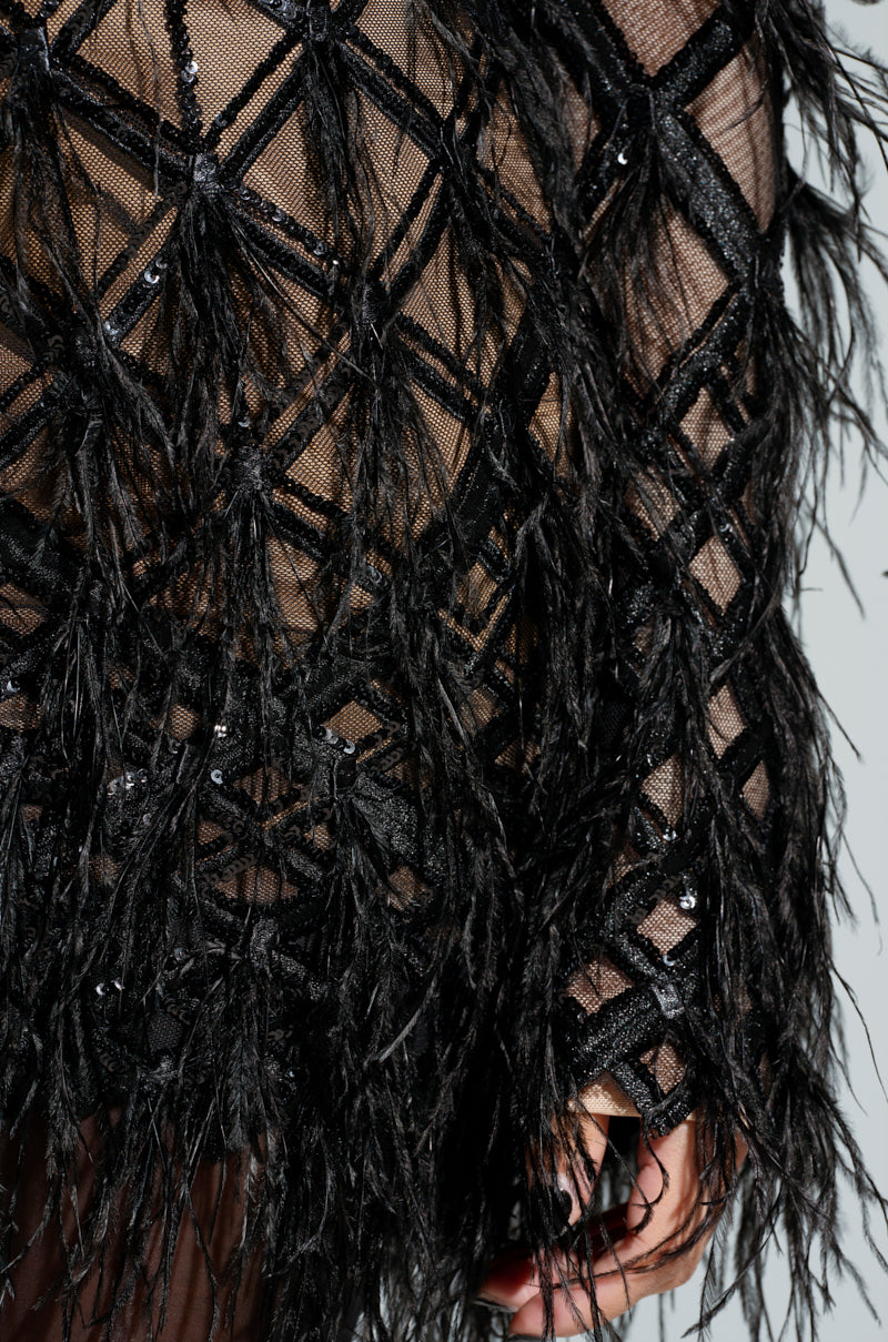 Close-up of the "SHOW ME A GOOD TIME MESH MINI DRESS" highlighting its intricate black geometric lattice design with exquisite feather detailing. The sheer fabric lends depth and texture to this stunning piece, further accentuated by subtle sequin trim accents.