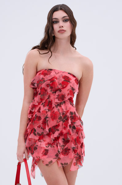 ROSIE RUFFLE PRINTED MINI DRESS – AKIRA