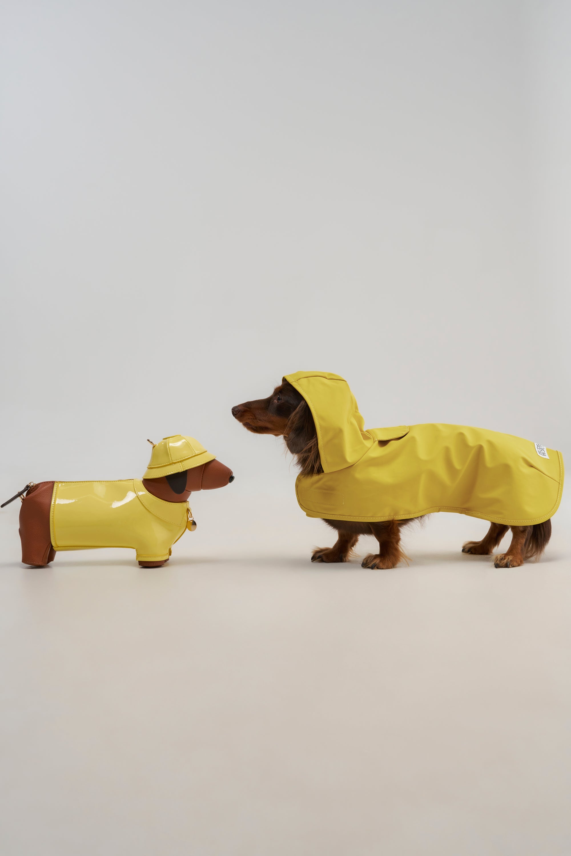 A dachshund wearing a yellow raincoat faces the WOOF PURSE—a dachshund-shaped novelty handbag, also dressed in a yellow raincoat and hat—both set against a plain light background.