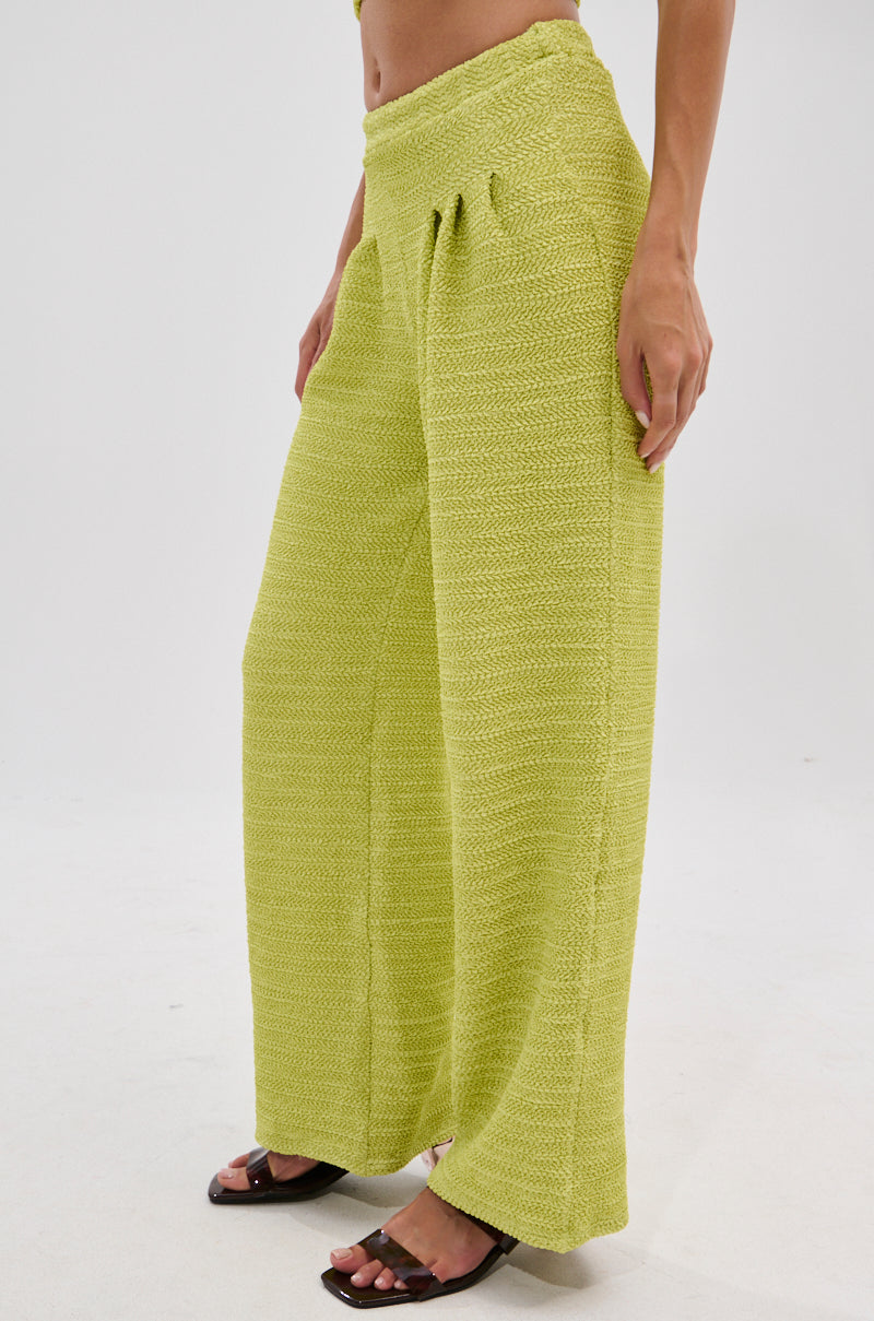 A person wears HOLLYWOOD SLINKY TEXTURED PALAZZO PANT IN GREEN with an elasticized waistband and light green slinky texture, paired with brown open-toe sandals, standing against a plain white background.
