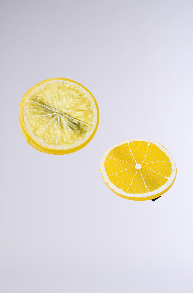 Two lemon slice designs rest on a light gray background; one looks realistic, the other stylized—perfect inspiration for the playful LIFE GIVES YOU LEMONS HAIR CLIP SET, a fun and vibrant barrette-style hair accessory. 3