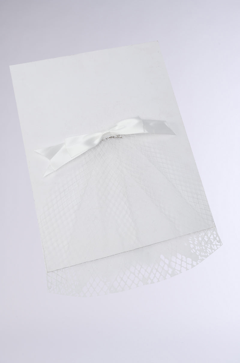 The POSE NETTED HAIR BOW card showcases a small satin bow with an elegant netted veil pattern fanning out, creating a lace-like effect. A subtle gradient from light grey to white in the background enhances its sophisticated elegance.