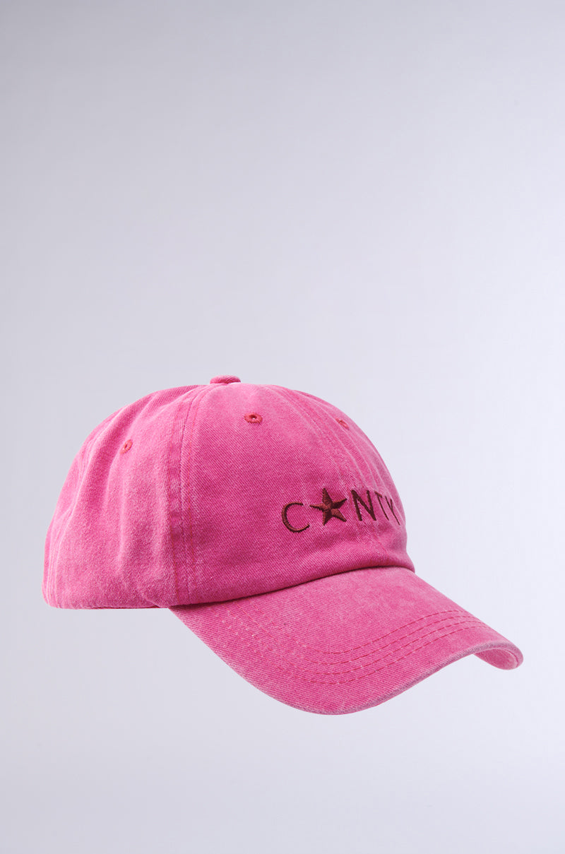 The "I SAID WHAT I SAID HAT" is a pink baseball cap featuring the word "C*NTY" with a star replacing the 'U,' embroidered in black on the front, shown against a simple light background.