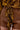A close-up of a person wearing high-waisted brown leather shorts and the ADORE YOU TIE FRONT BLOUSE, a sheer top with a golden floral print, tied in a knot at the waist.