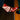Someone wearing the AZALEA WANG CHANNY MULTI BOOTIE GRAPHIC WESTERN WITH STUDS, featuring star and lightning bolt designs and a chunky heel, rests their foot on the edge of a wooden pool table by a pocket.