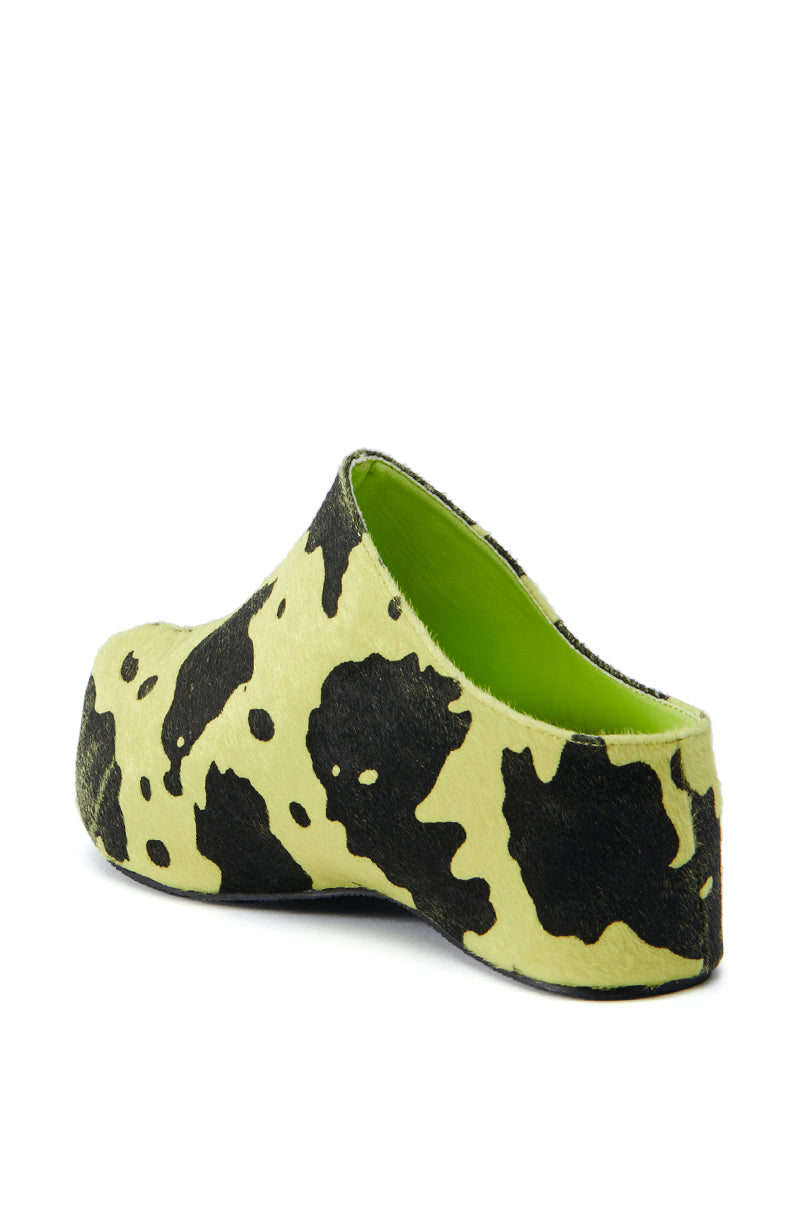 The AZALEA WANG DARWIN LIME FLATFORM is a single clog-style shoe showcasing a striking cow print pattern with large black spots on a light yellow synthetic pony hair upper. Its interior is lime green, complemented by a substantial flatform sole and an open back.
