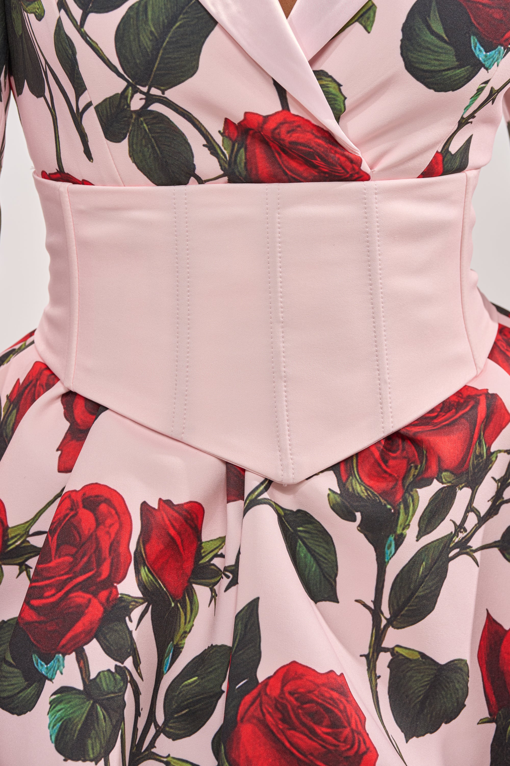 PAINTING THE ROSES RED BUBBLE MINI DRESS WITH CORSET AKIRA PAINTING THE ROSES RED BUBBLE MINI DRESS WITH CORSET AKIRA