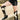 A woman pairs black shorts with the AZALEA WANG GWAYNE Black Multi Cow Western Boots.