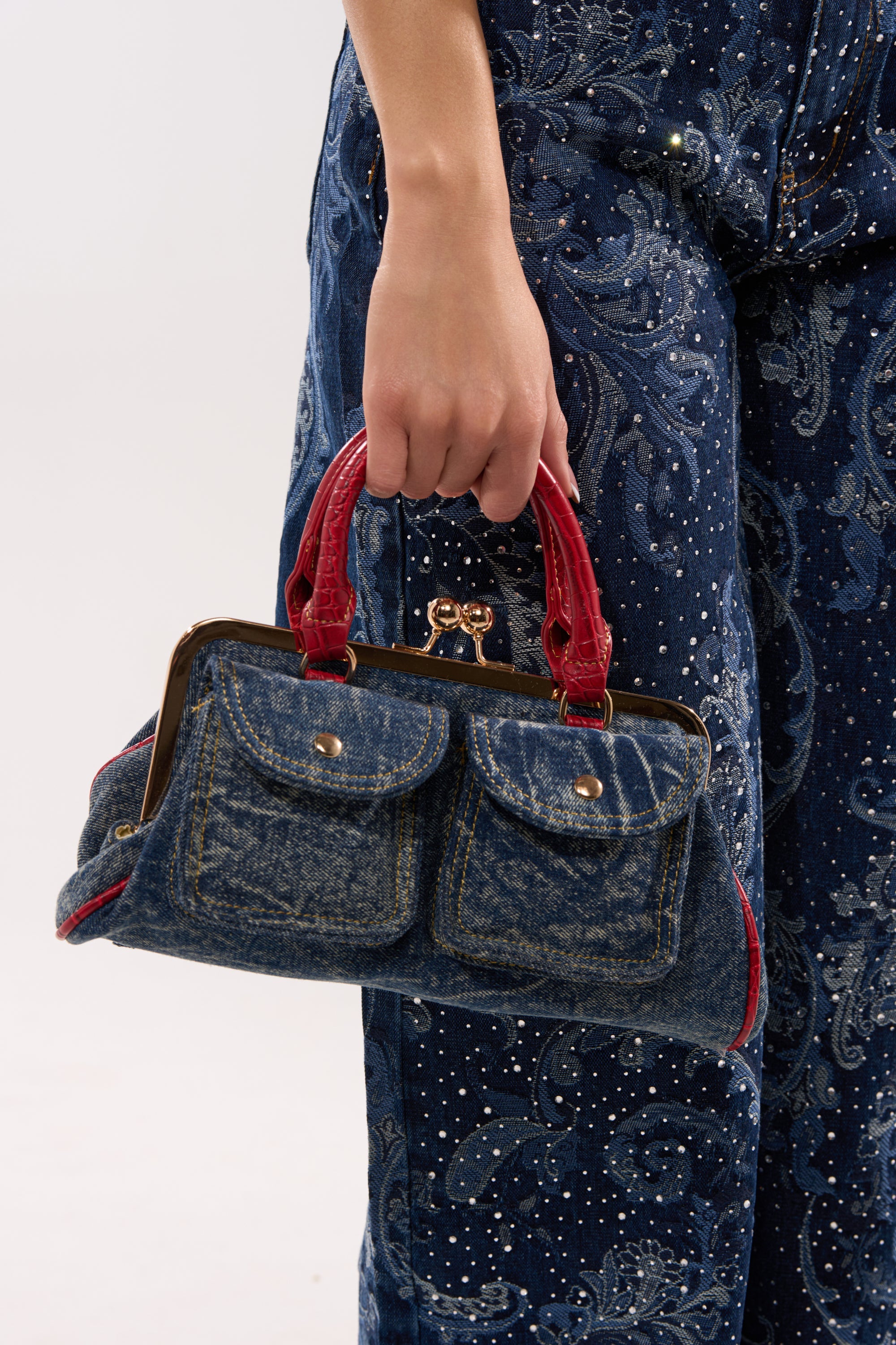 激レア　A/PバイオリンBag GRUNGE PIERCED PURSE – AKIRA