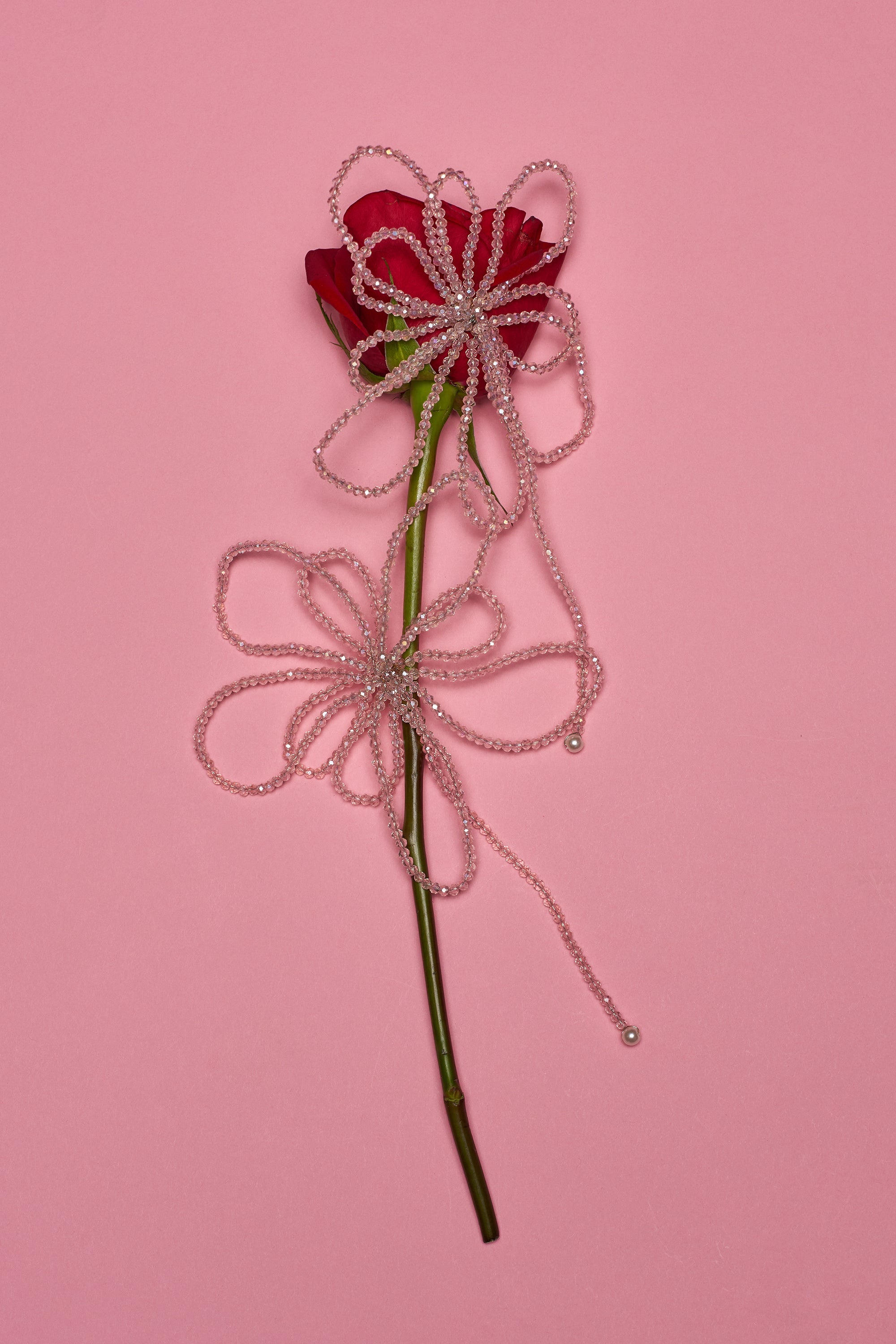 A single red rose with a green stem rests on a pink background, displaying two GIRL PWR EARRING statement pieces, each delicately beaded and flower-shaped, elegantly draped over the rose. 0