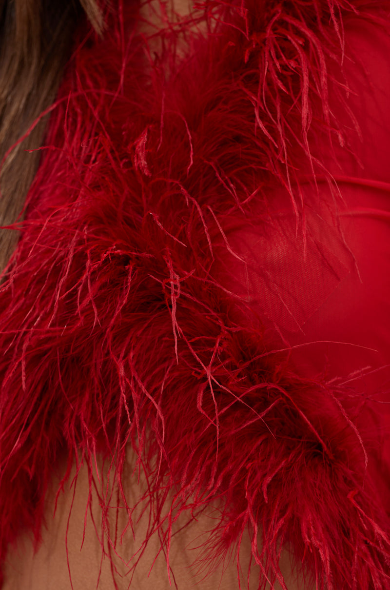 Close-up of the FIERCE FEATHER BLOUSE, showcasing delicate wispy feathers layered over a sheer mesh top for an ethereal, textured look.