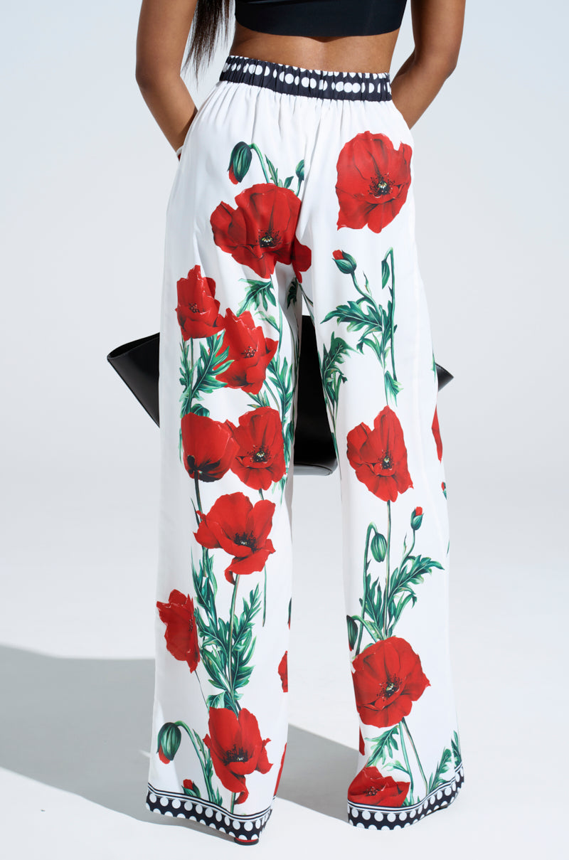 BELLADONNA PRINT PALAZZO PANTS – AKIRA