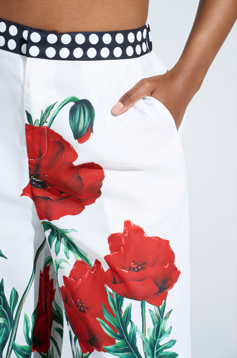 BELLADONNA PRINT PALAZZO PANTS – AKIRA