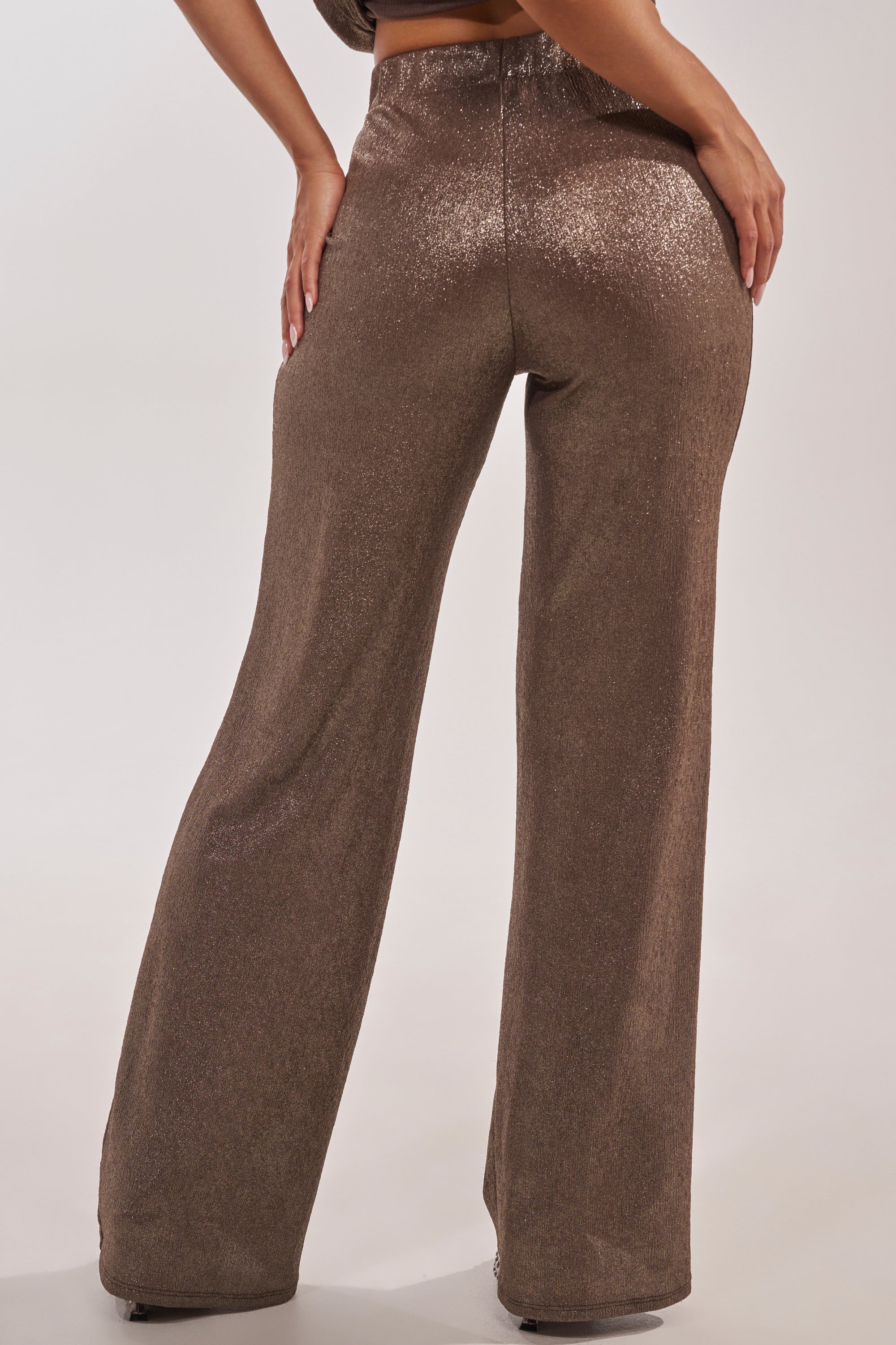 A person stands facing away, wearing the HIGH STAKES RELAXED PANT—high-rise, wide-leg with a shimmery metallic brown finish—against a neutral background. 2