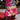 Wearing a zebra-print dress with bold pink flowers and the DONNA TELL ME BELT, a person stands by a red bench on the sidewalk, mural and storefront in the background.