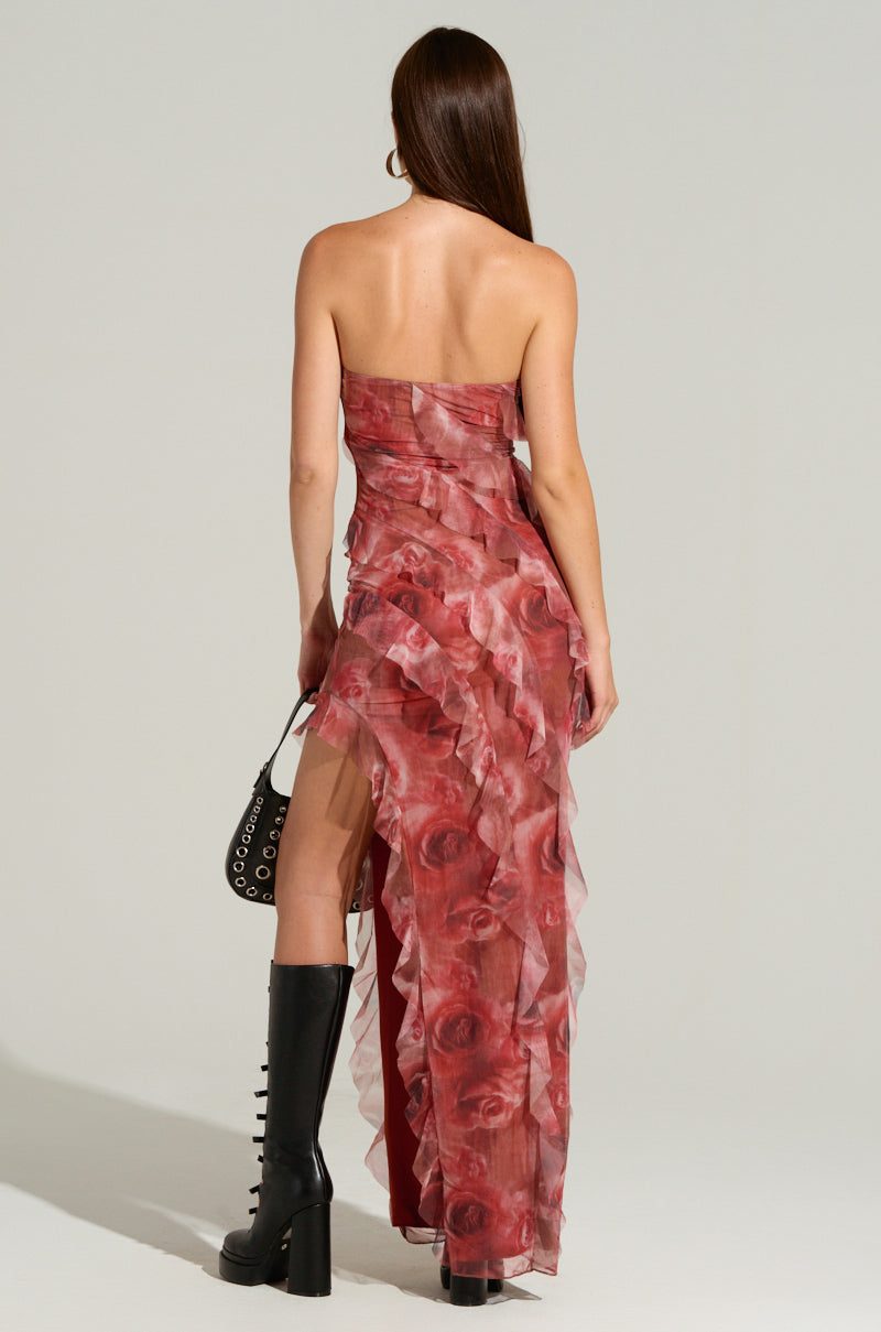 JUST A DREAM FLORAL MESH MAXI DRESS – AKIRA