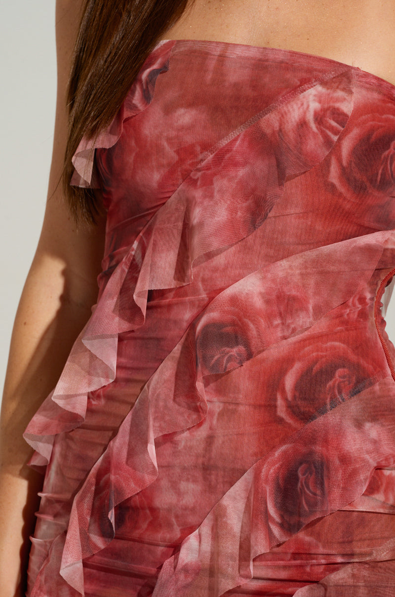 JUST A DREAM FLORAL MESH MAXI DRESS AKIRA JUST A DREAM FLORAL MESH MAXI DRESS AKIRA