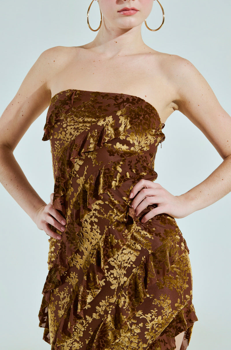 CYRUS VELVET MAXI DRESS IN BROWN – AKIRA