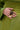 A hand with neatly manicured nails rests on a green pleated garment, showcasing the MOD LIFE RING—a large, geometric gold statement piece on the middle finger that brings a modern edge to the look.