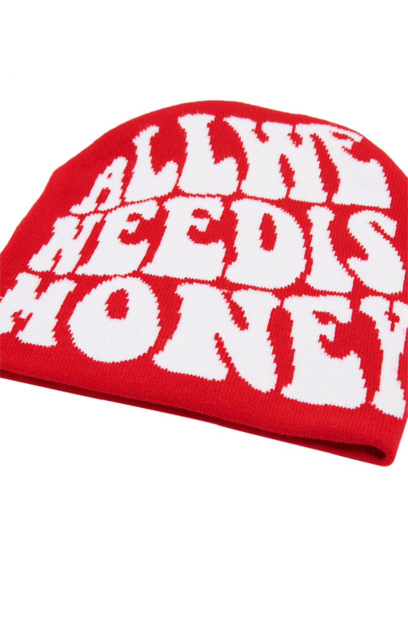 Back View All We Need Is Money Beanie
