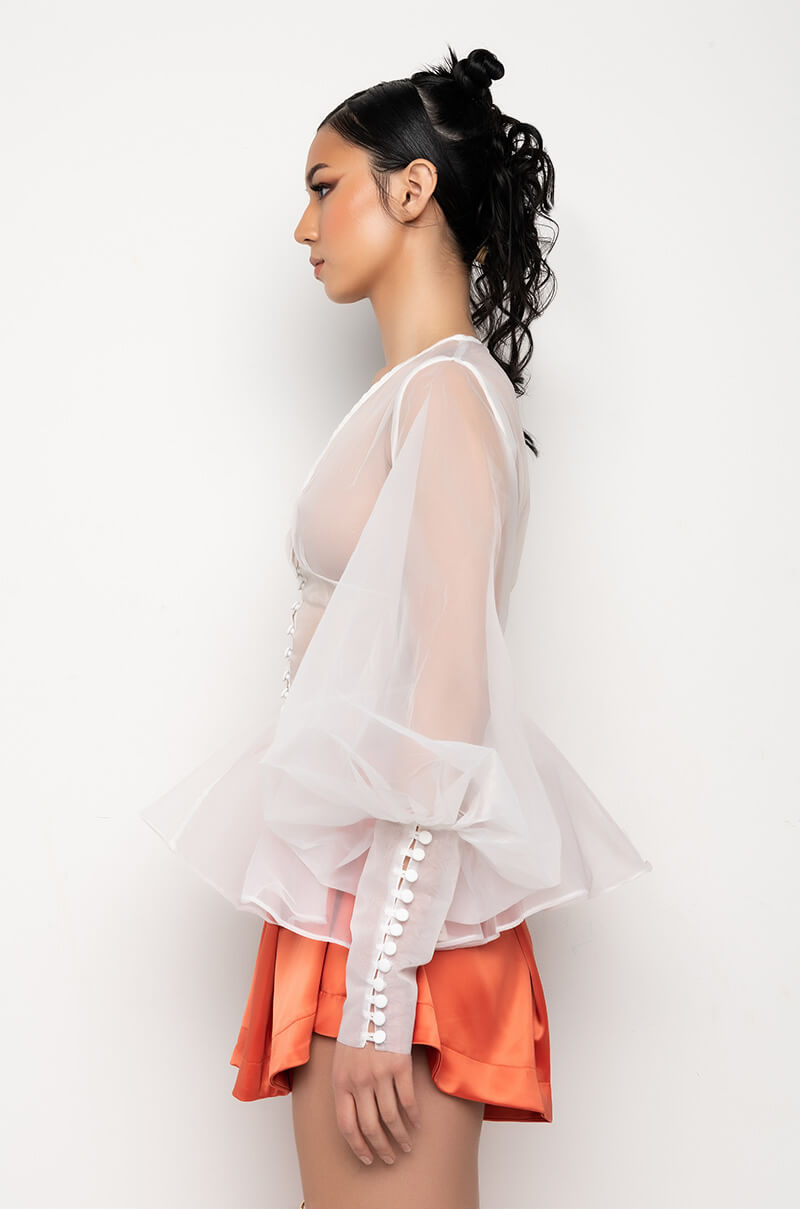 Detail View Ambrosia Peplum Organza Blouse