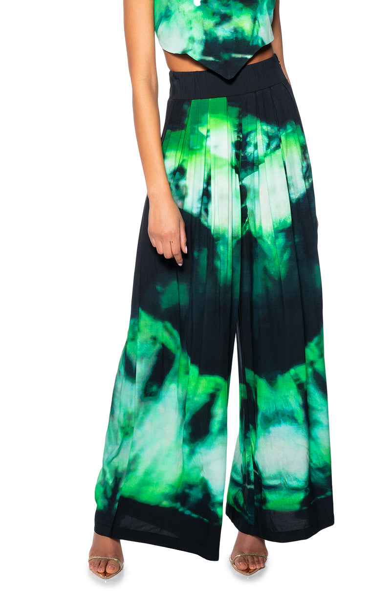 Front View Aster Printed Palazzo Pant 5