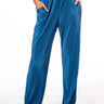 Front View Astrid Pleated Palazzo Pant