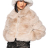 Front View Azalea Wang Koko Faux Fur Zip Up Jacket