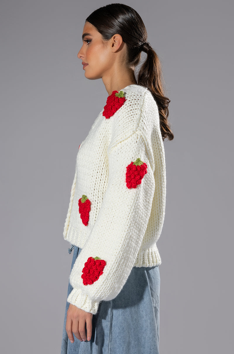 Full View Berries Button Cardigan