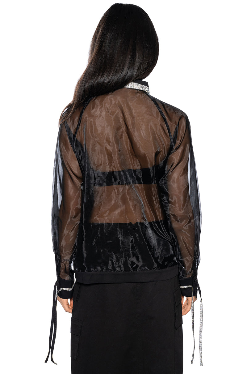 Detail View Business In The Front Sheer Blouse 3