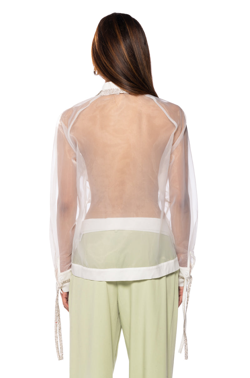 Detail View Business In The Front Sheer Embellished Blouse