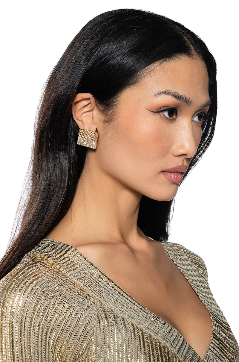 BUY ME A BAG EARRING view 0