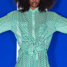 Front View Central Park Gingham Mesh Button Down Blouse