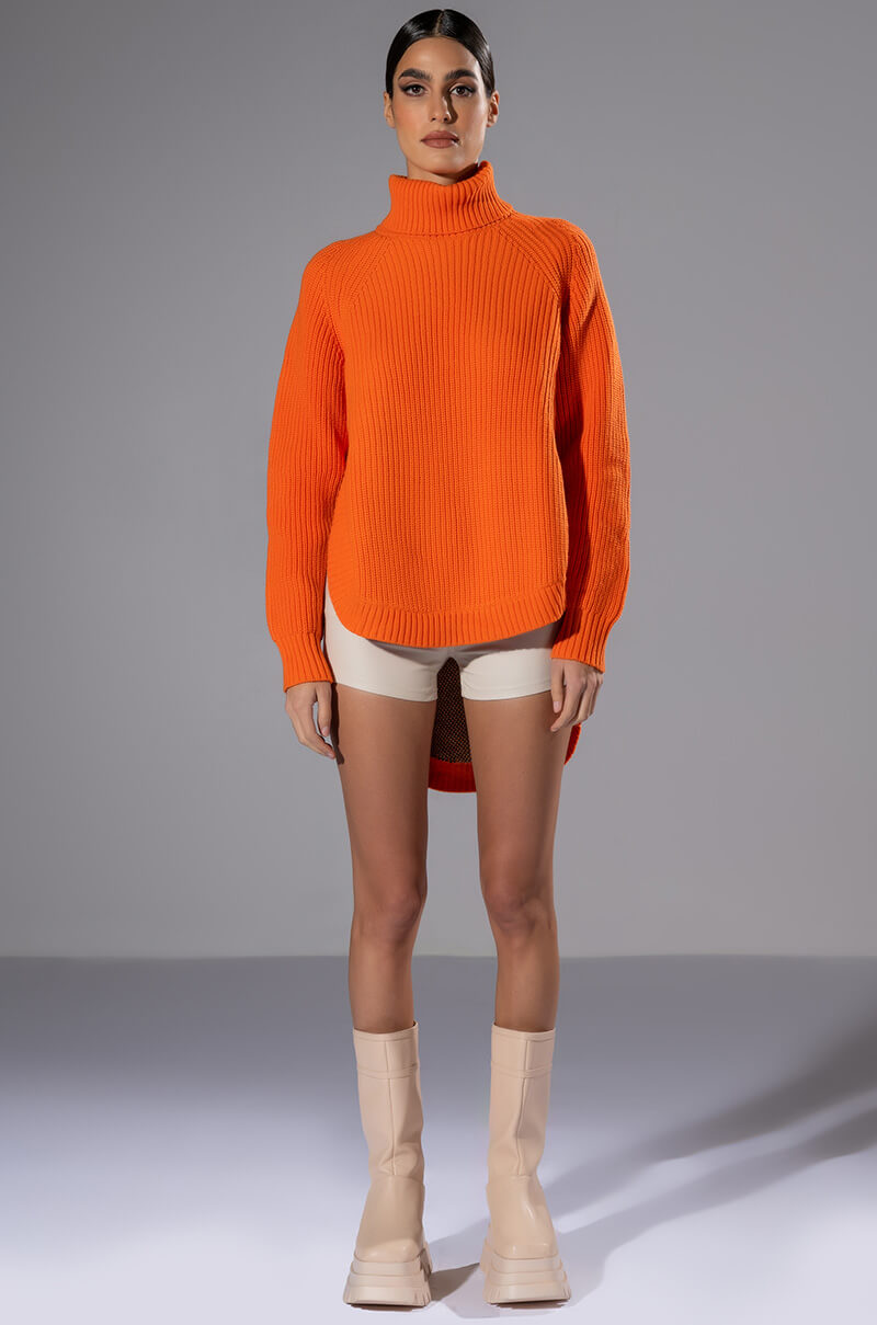 Back View Daisy Dreaming High Low Sweater