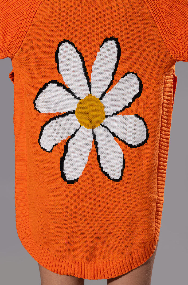 Extra View Daisy Dreaming High Low Sweater