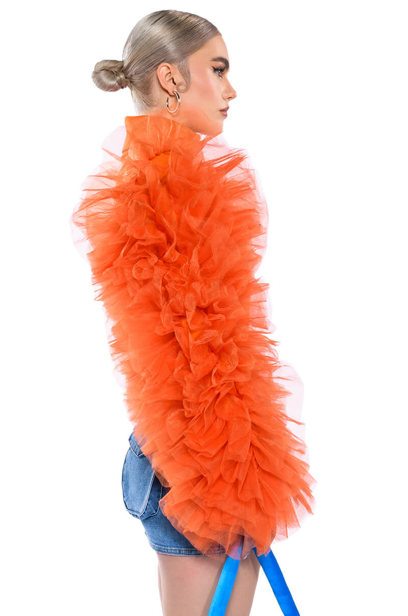 Full View Daring Tulle Ruffle Long Sleeve Top