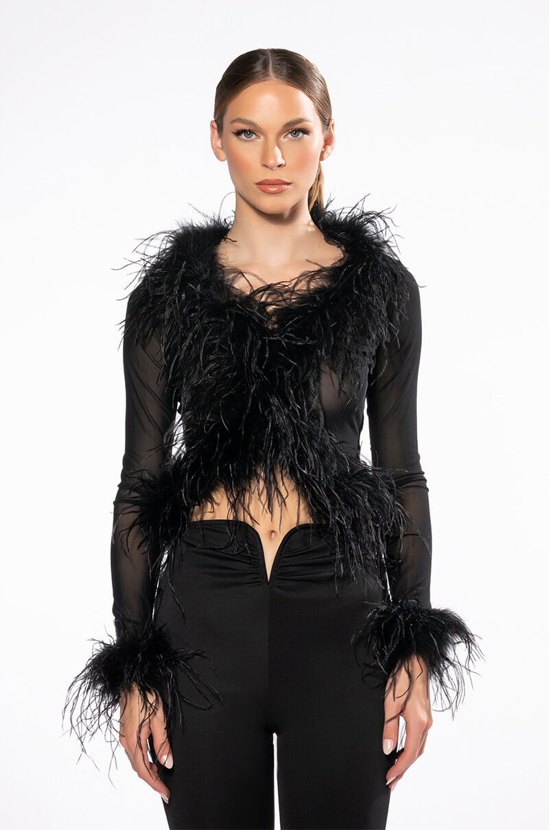 Detail View Dark Angel Mesh Feather Trim Top
