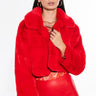 Front View Dayanne Plush Faux Fur Jacket