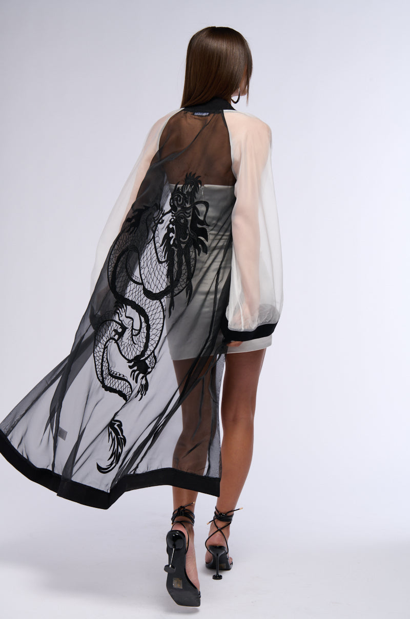 Full View Dragons Touch Mesh Duster