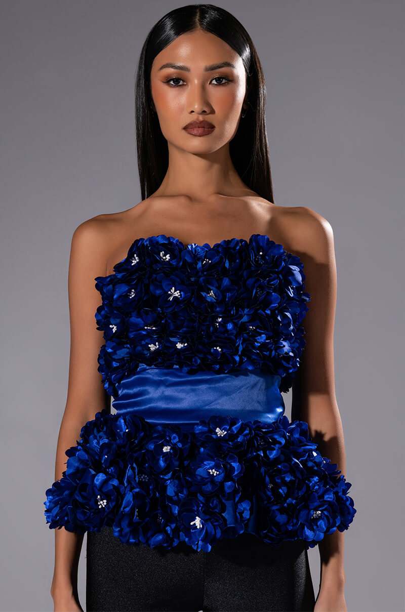Front View Emilia Floral Applique Strapless Top