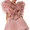 Front View Ever After Ruffle Sleeve Pleated A Line Mini Dress In Mauve