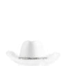 Side View Feather Trim Cowboy Hat