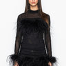 Front View Float Away Real Feather Mesh Mini Dress