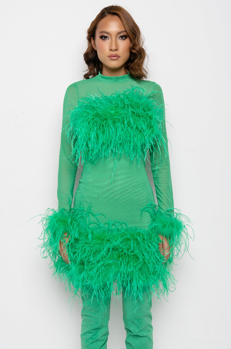 Back View Float Away Real Feather Mesh Mini Dress