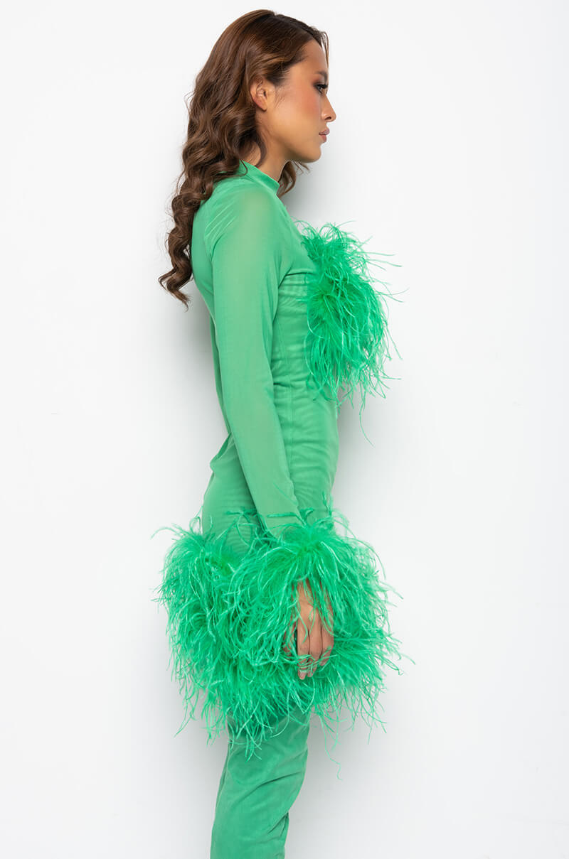 Detail View Float Away Real Feather Mesh Mini Dress
