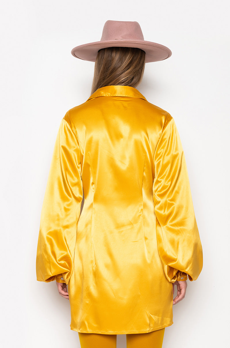 Detail View Golden Looks Button Up Mini Dress With Fashion Sleeves